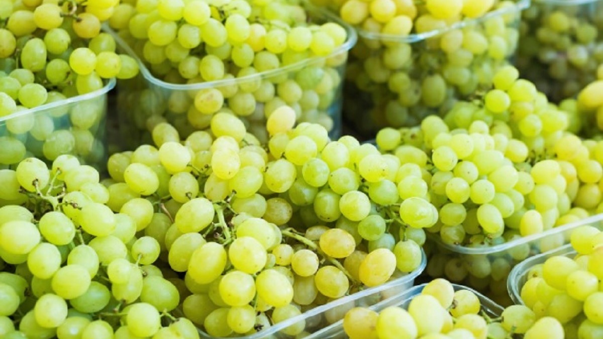 Vidre+™, adhesivos que mantienen la fruta fresca por más tiempo.jpg